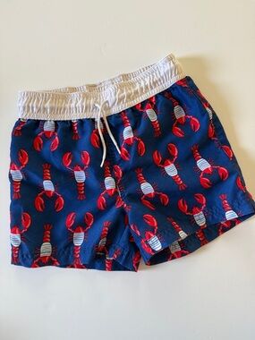 Janie and Jack Size 4 Swim Trunks